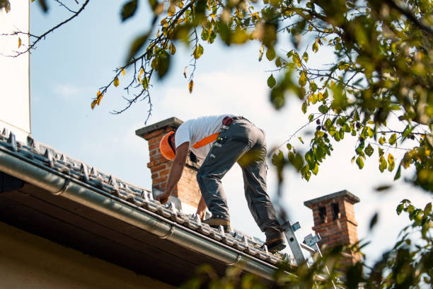 Fast & Reliable Emergency Roof Repairs in Ovid, MI