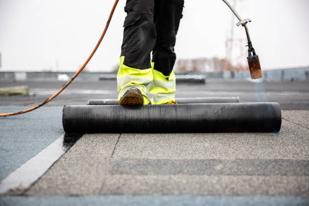 Best Roof Coating and Sealing  in Ovid, MI